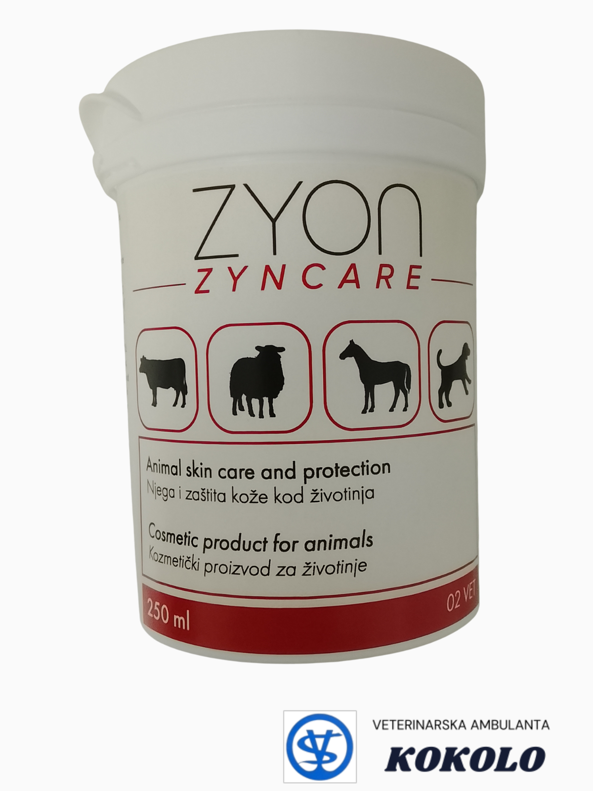 ZYON ZYNCARE 250 ml